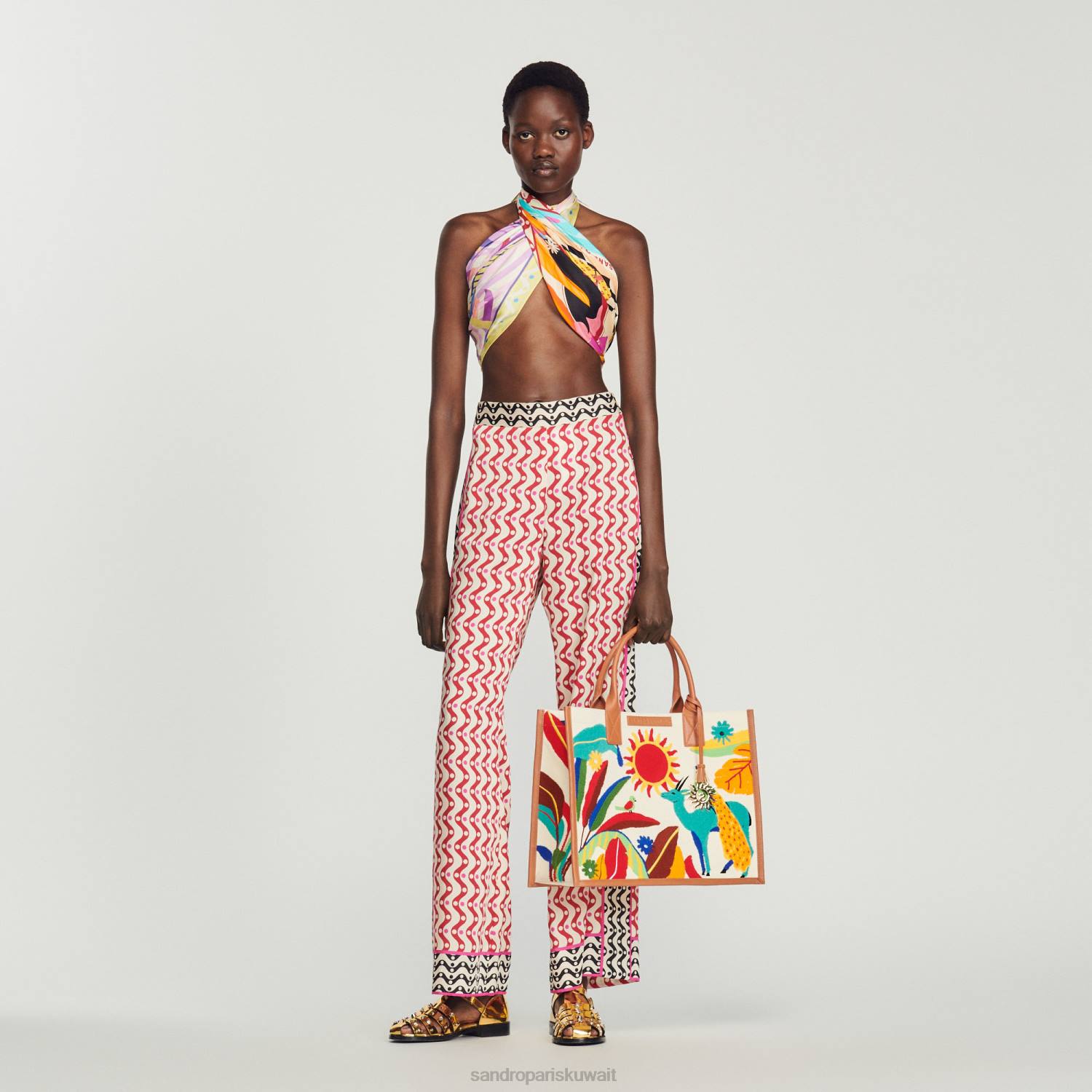 مُكَمِّلات Sandro Paris حقيبة القصبة المطرزة متعدد الألوان نحيف ZJ00527